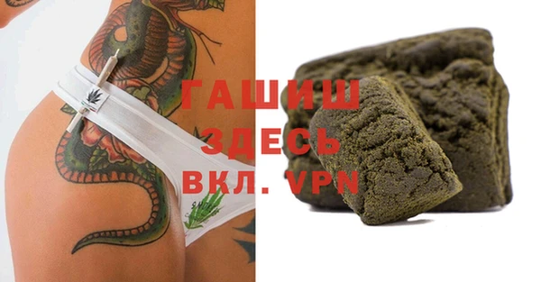 прущие грибы Гусиноозёрск