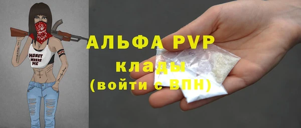 сатива Губаха