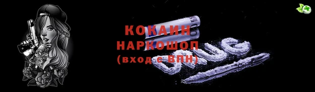 ешки Сясьстрой