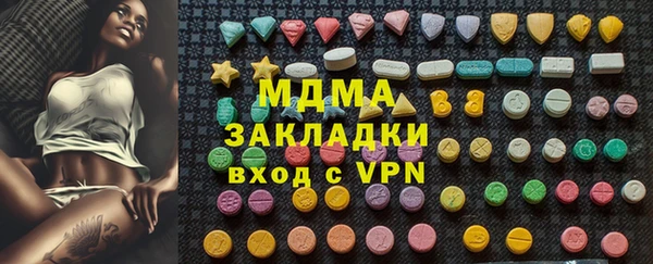 прущие грибы Гусиноозёрск