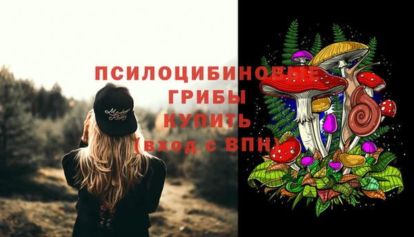 винт Дмитриев