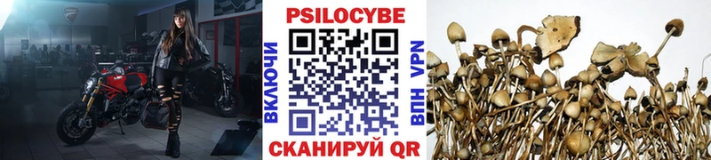 Псилоцибиновые грибы GOLDEN TEACHER  Бутурлиновка 