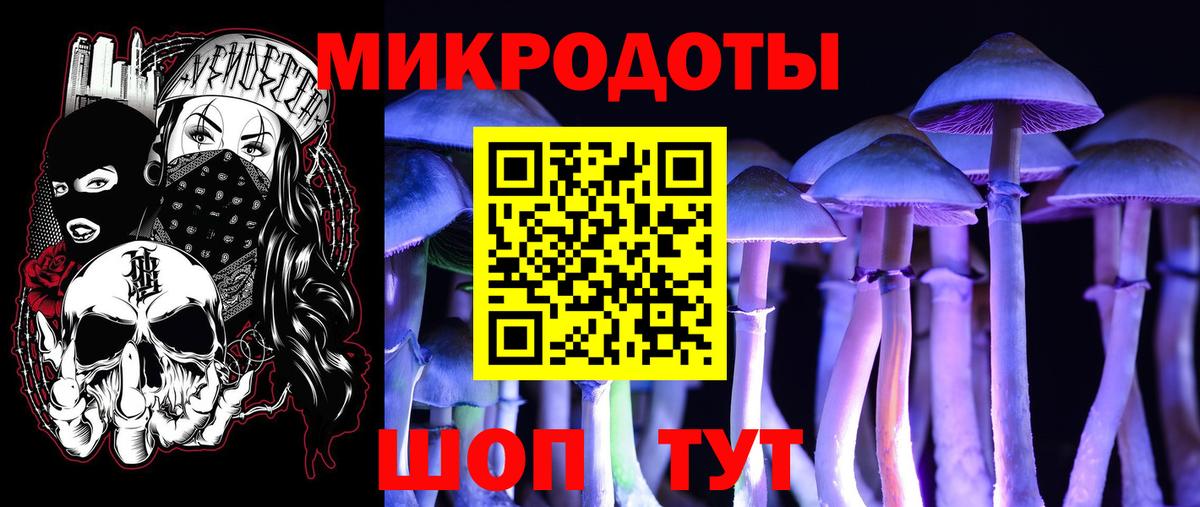 Галлюциногенные грибы Psilocybe  Галлюциногенные грибы мицелий  цена   Вход с VPN  Бутурлиновка 