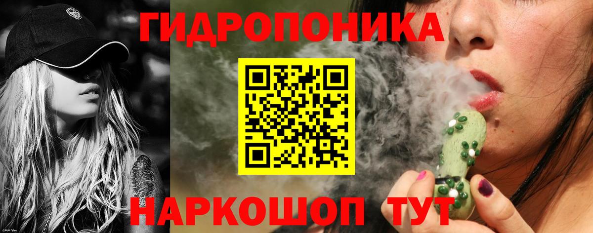 Шишки марихуана семена Бутурлиновка